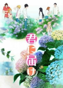 Kimi ni Todoke 2ª Temporada